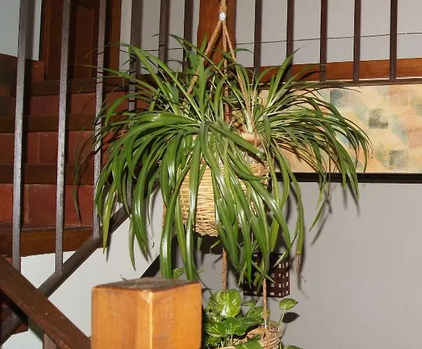 Hotel Rural El Adarve