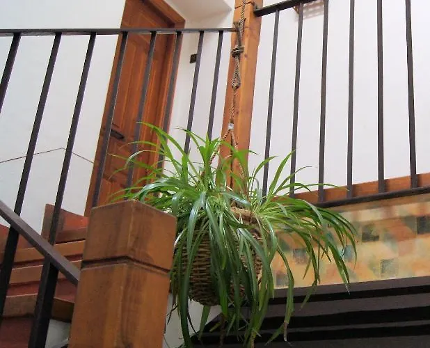 Ξενοδοχείο Rural El Adarve Ayllón